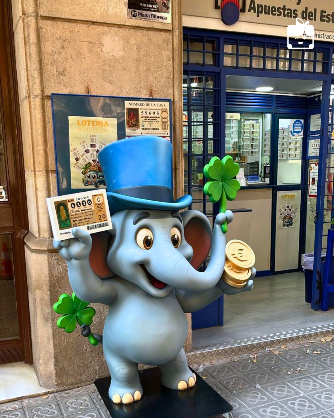 elefante de la suerte loteria